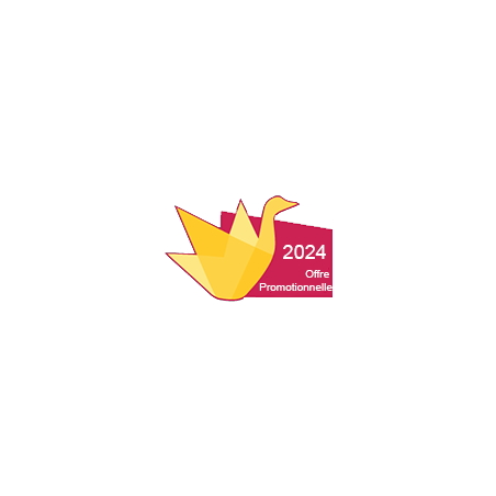 Offre Promotionnelle 2025